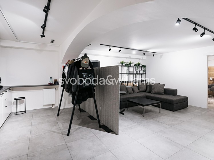 Pronájem komerčního prostoru, 115 m² (10 z 14)