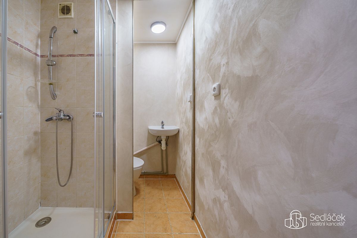 Pronájem bytu 1+1 38 m² – fotografie 3
