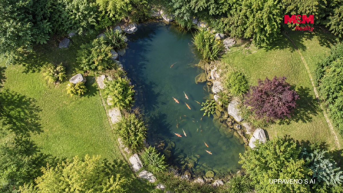 Prodej zemědělské usedlosti 750 m², pozemek 16025 m² – fotografie 5