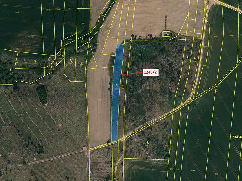 Dražba lesa 1896 m², Vladislav – náhled fotky 2