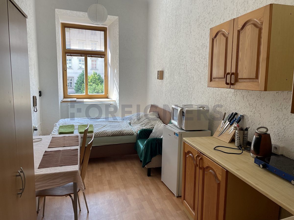 Pronájem bytu 1+kk 35 m²