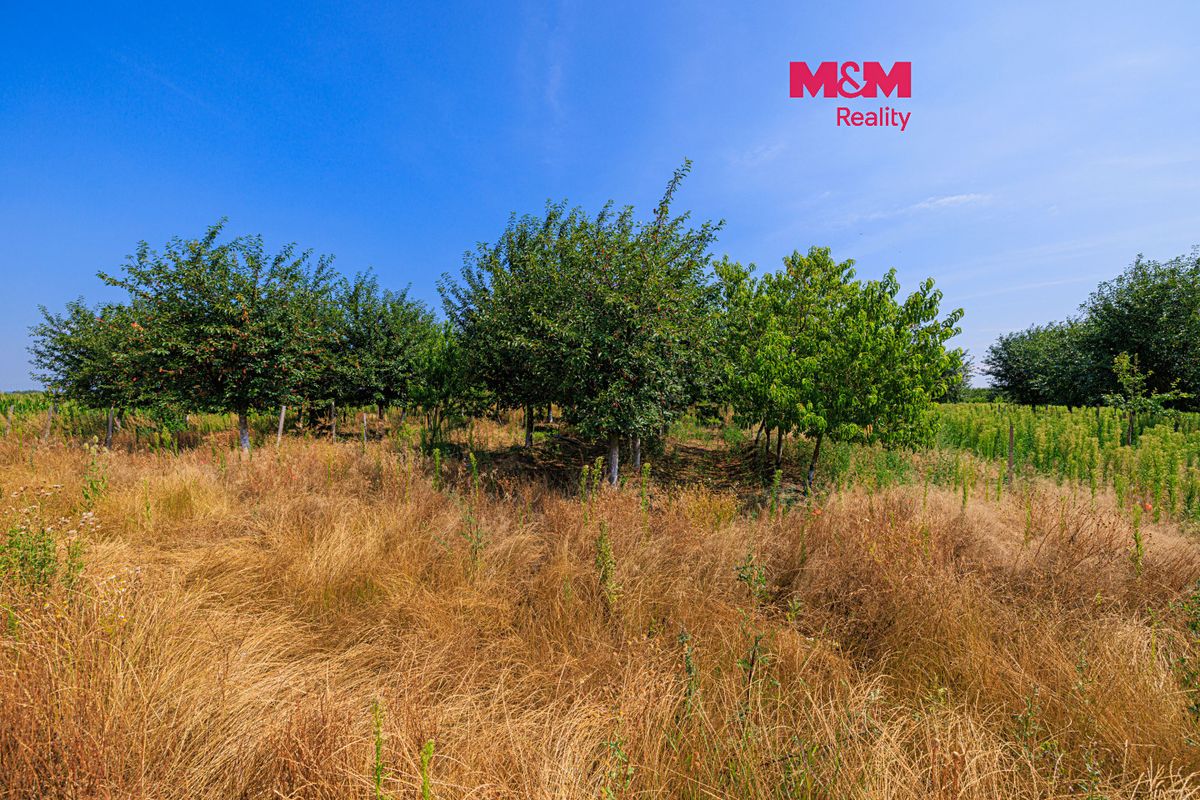 Prodej pole 12442 m², Rakvice – fotka 1 z 3