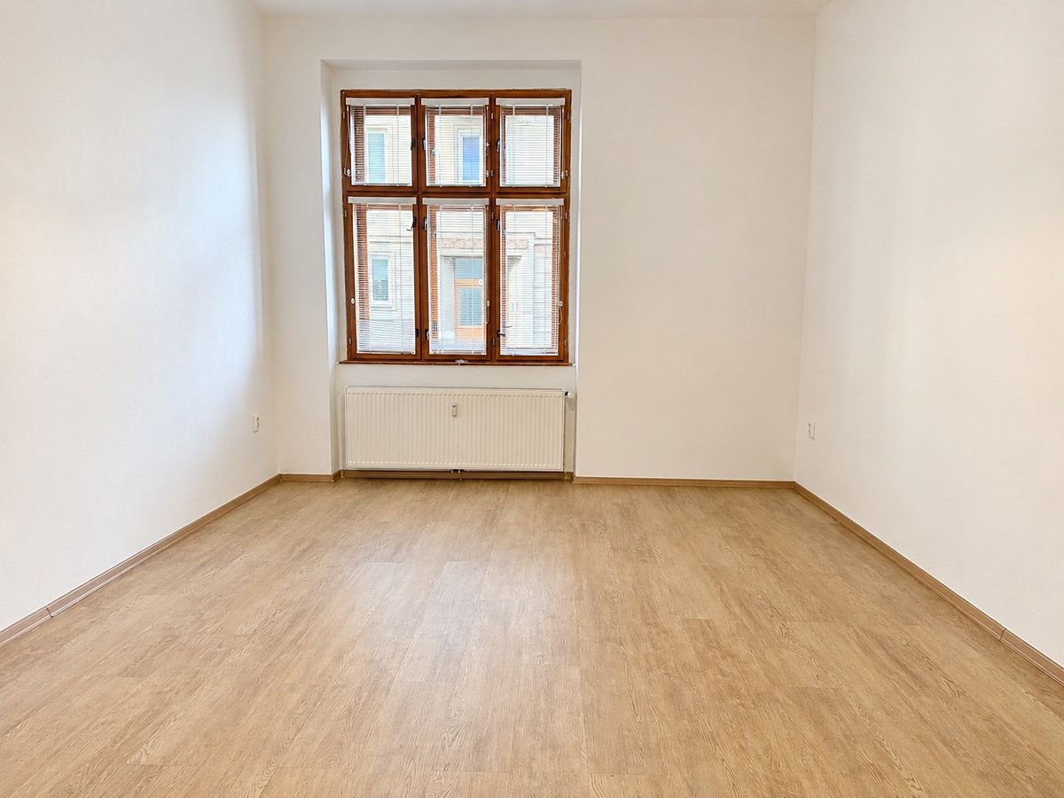 Pronájem bytu 1+1 45 m² – fotografie 4