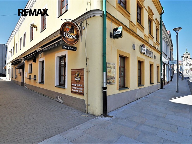 Pronájem komerčního prostoru, 20 m² (10 z 10)