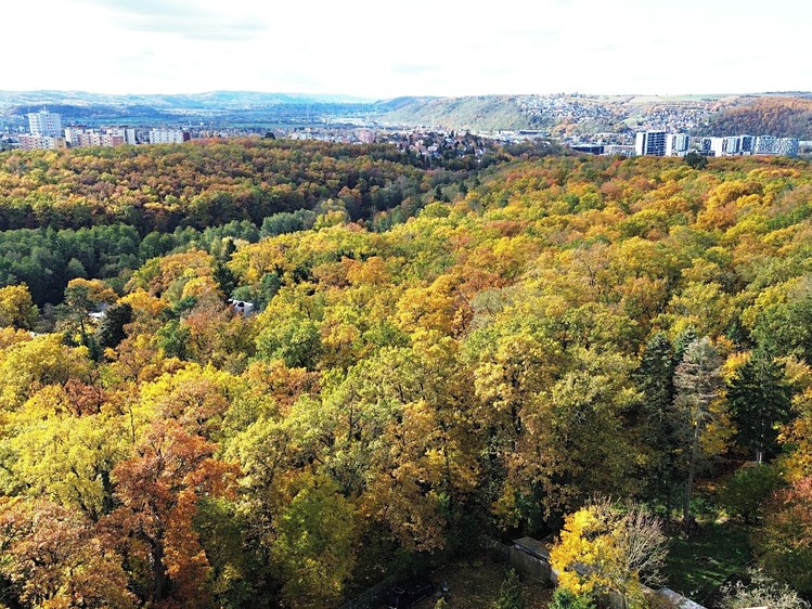 Prodej pozemku, 957 m² (9 z 14)