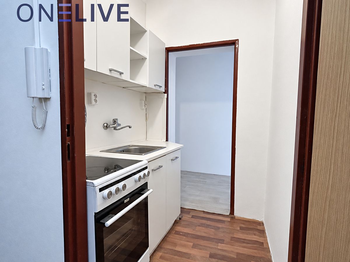 Pronájem bytu 2+1 50 m² – fotografie 4