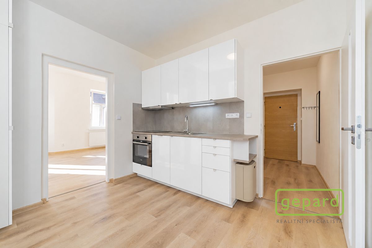 Pronájem bytu 1+1 42 m²