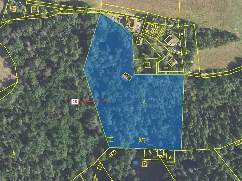 Dražba lesa 8962 m², Sýkořice – náhled fotky 2