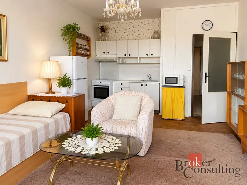 Prodej bytu 1+kk 35 m², Hradec Králové – náhled fotky 1