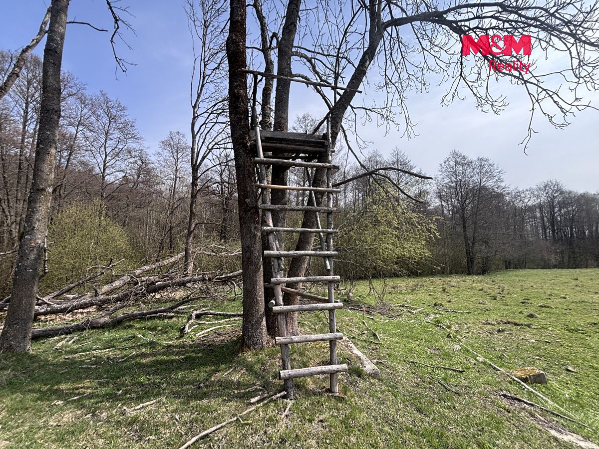 Prodej louky 545 m² – fotografie 3