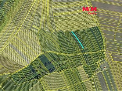 Prodej sadu, vinice 1267 m²