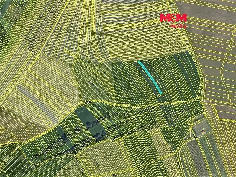 Prodej sadu, vinice 1267 m², Vracov – náhled fotky 1