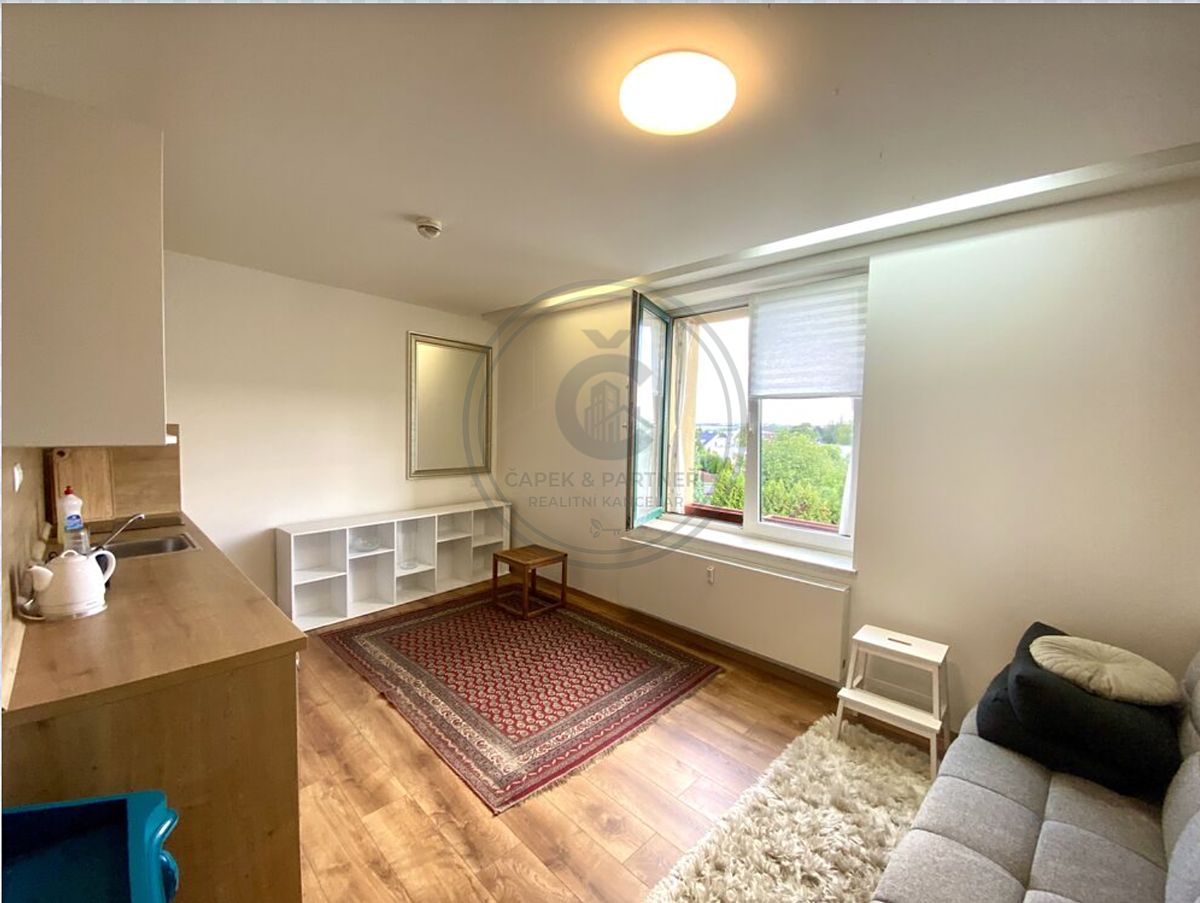 Pronájem bytu 1+kk 30 m²