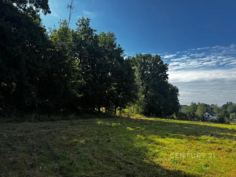 Prodej stavebního pozemku 1360 m², Oldřichov v Hájích – náhled fotky 3