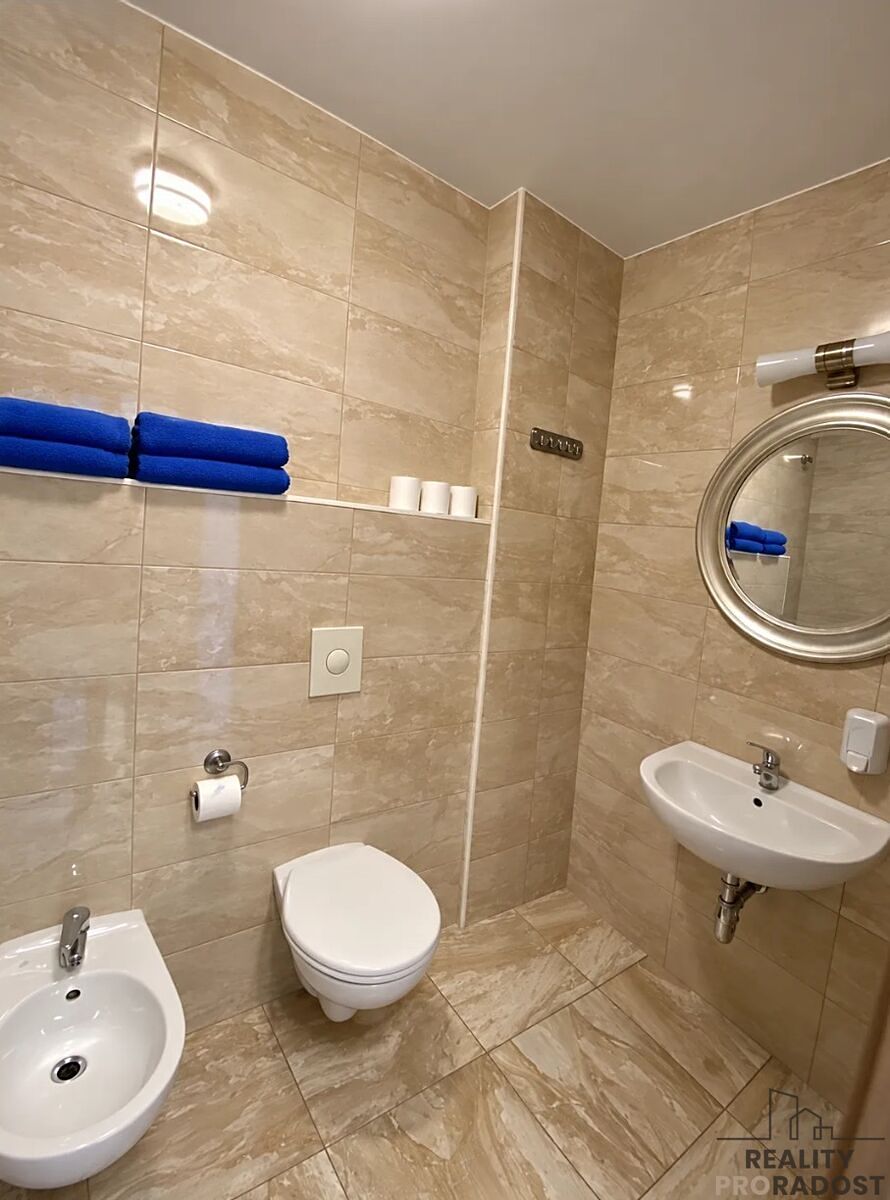 Pronájem bytu 1+kk 31 m² – fotografie 4