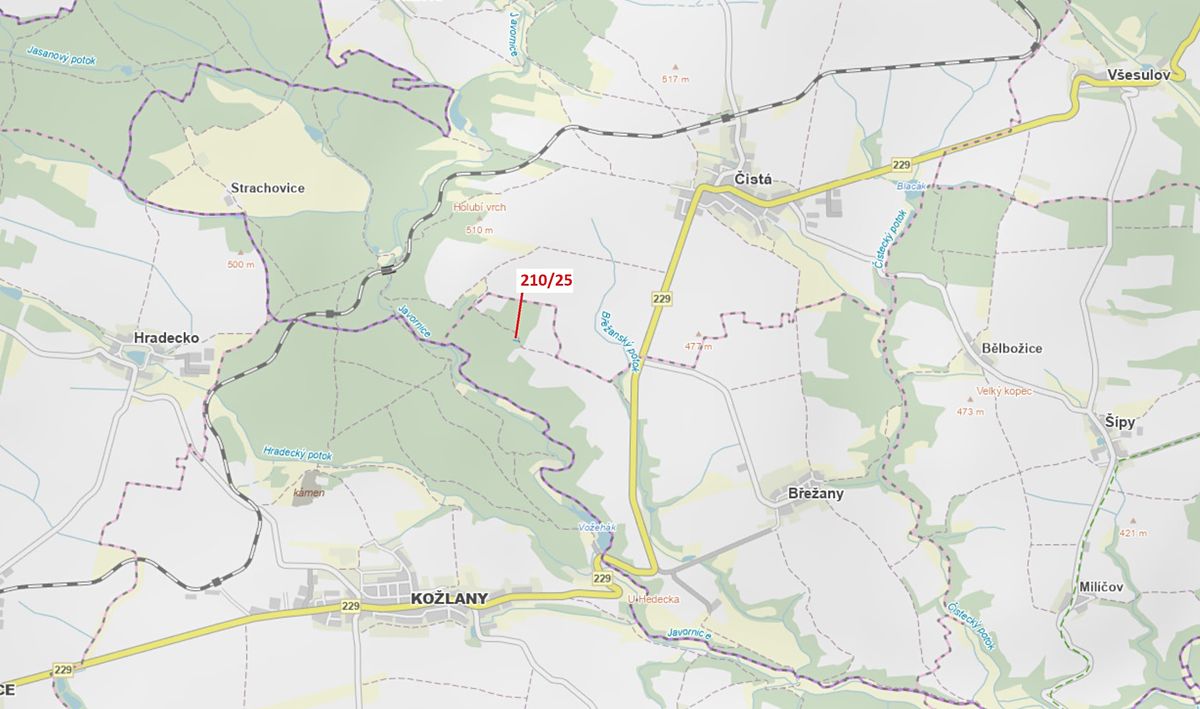 Dražba lesa 198 m², Břežany – fotka 1 z 3