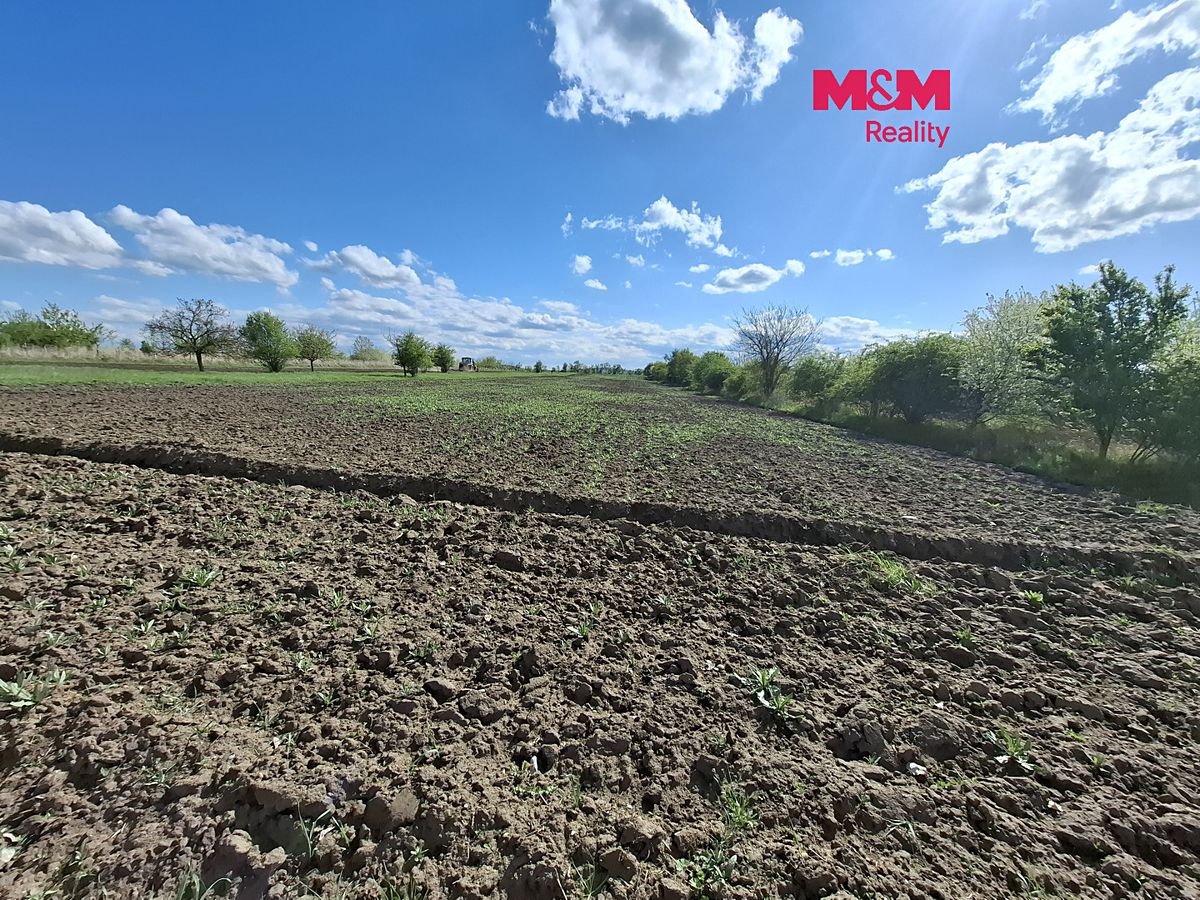 Prodej pole 3033 m², Pasohlávky – fotka 1 z 3