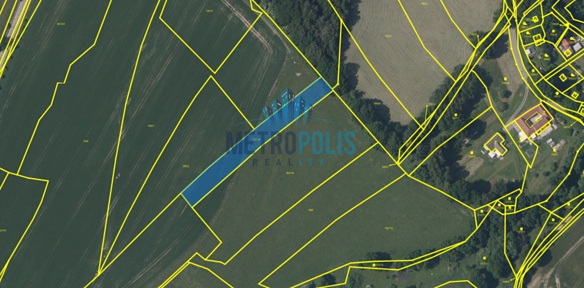 Prodej pole 2334 m² – fotografie 3