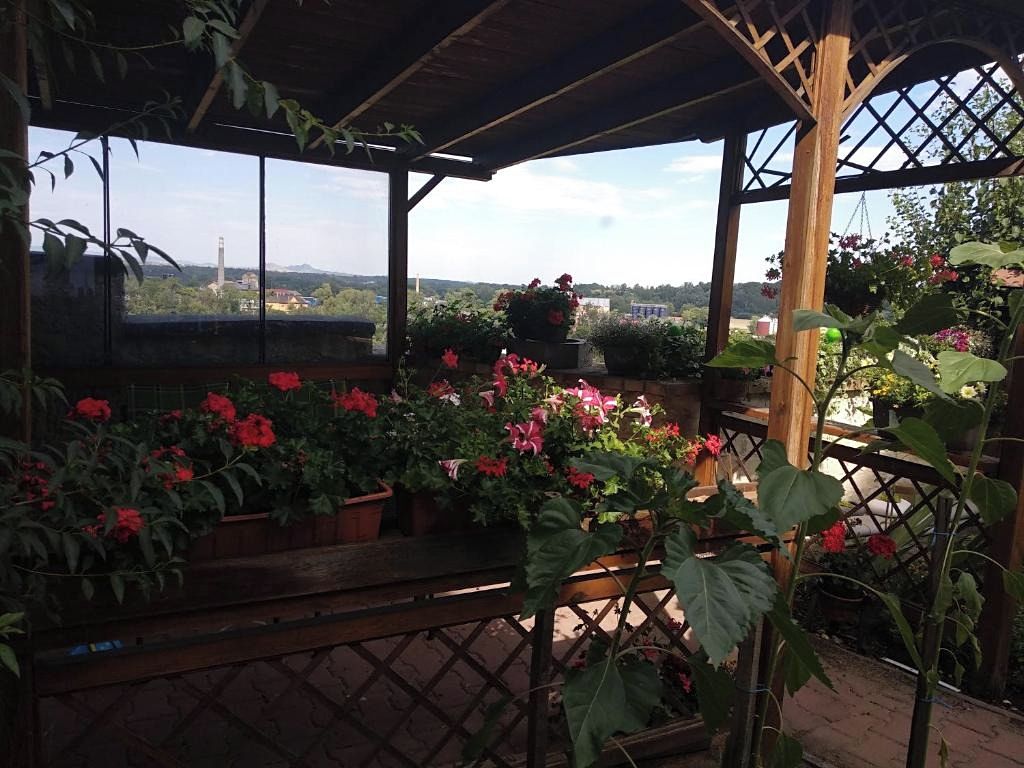 Prodej rodinného domu 150 m², pozemek 190 m² – fotografie 4