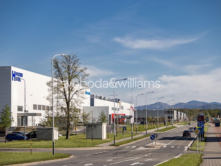 Pronájem komerčního prostoru, 2 354 m² (13 z 26)