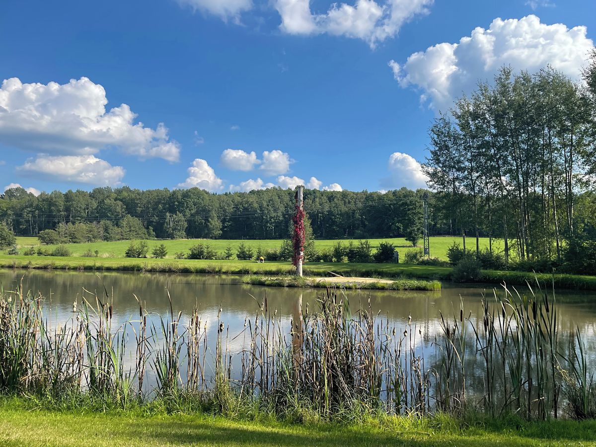 Prodej stavebního pozemku 9437 m² – fotografie 4