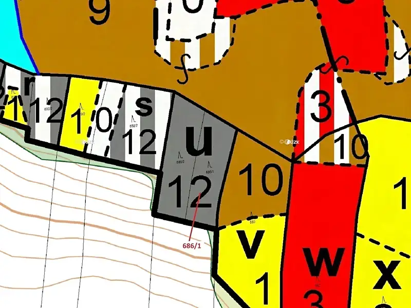 Dražba lesa 1280 m², Přemyslovice – náhled fotky 3