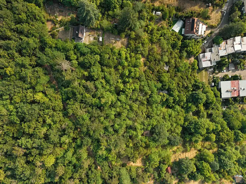 Prodej zahrady 2516 m², Brno – náhled fotky 3