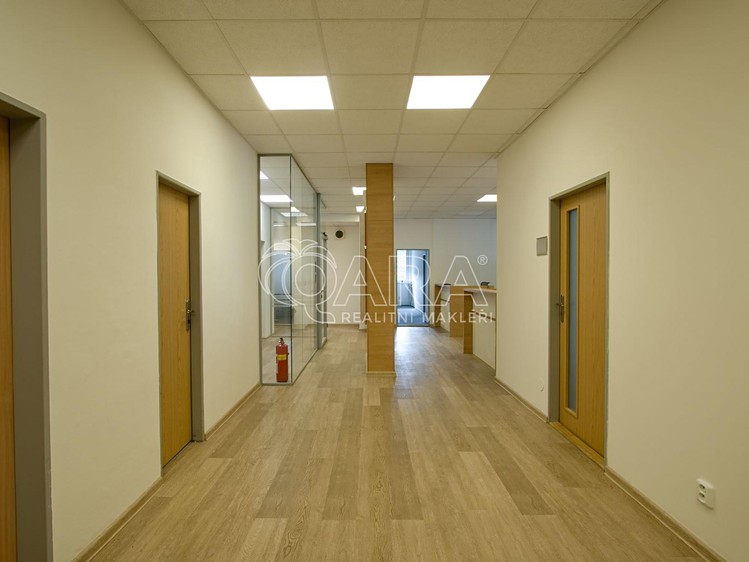 Pronájem komerčního prostoru, 650 m² (8 z 12)