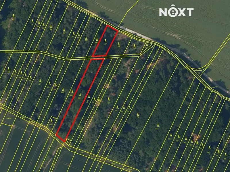 Prodej lesa 26205 m², Hředle – náhled fotky 2