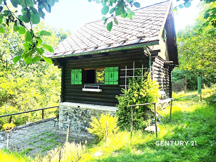 Будинок на продаж, 55 м² (2 з 20)