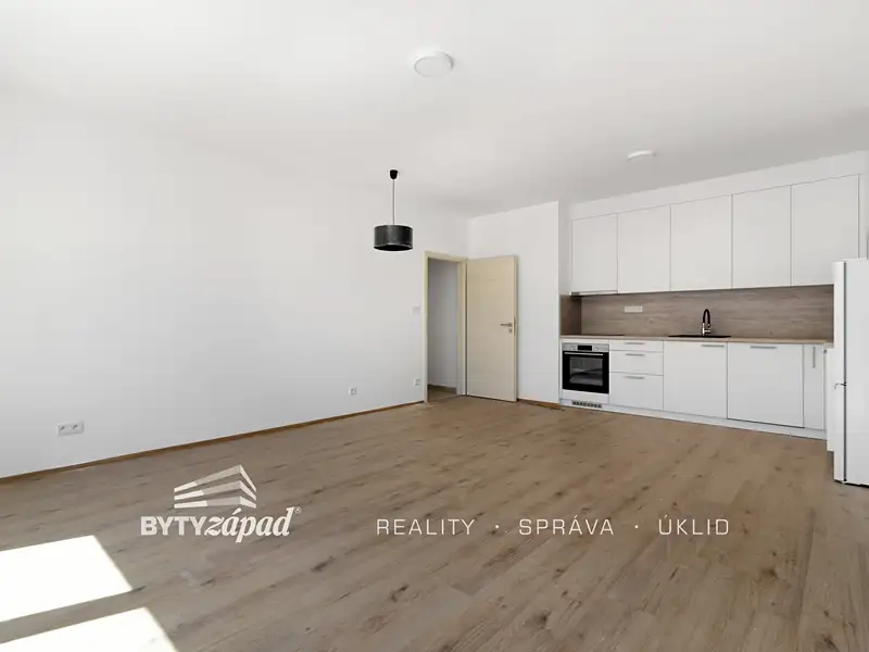 Pronájem bytu 2+kk 60 m², Plzeň – náhled fotky 1