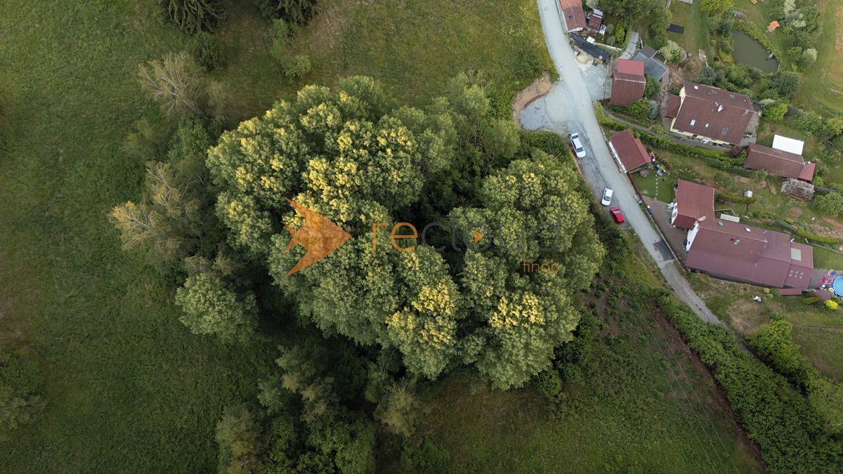 Prodej lesa 3373 m², Větřní – fotka 1 z 3