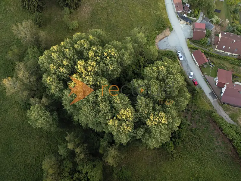 Prodej lesa 3373 m², Větřní – náhled fotky 1