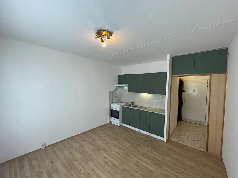 Pronájem bytu 1+1 35 m², Bílina – náhled fotky 2