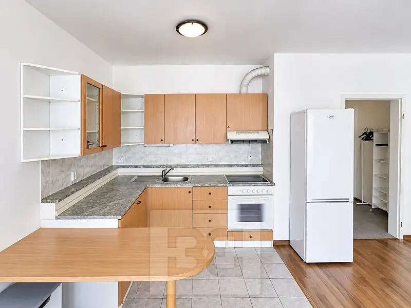 Pronájem bytu 1+kk 43 m², Praha – náhled fotky 2