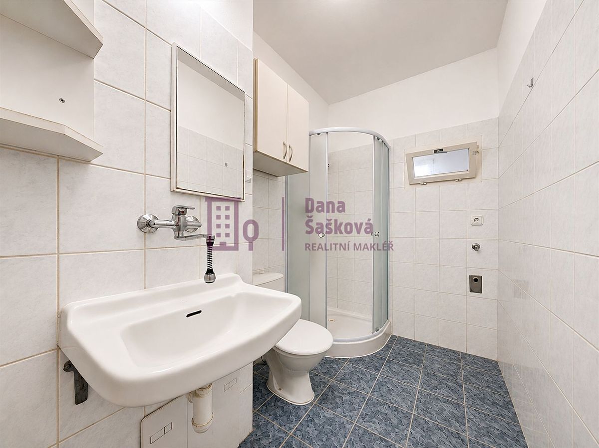 Pronájem bytu 2+1 65 m² – fotografie 3