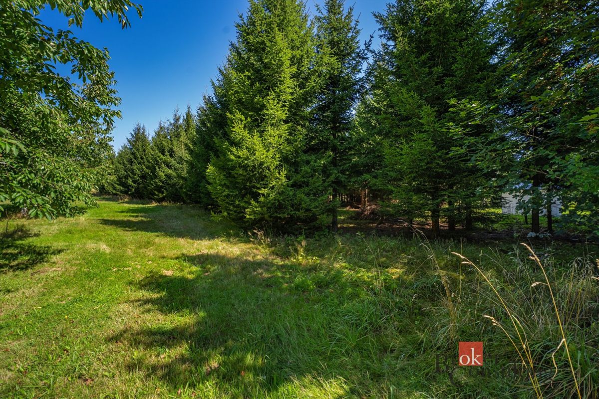 Prodej stavebního pozemku 12049 m² – fotografie 4