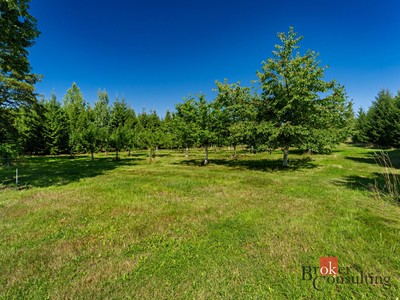 Prodej  stavebního pozemku 12 049 m²