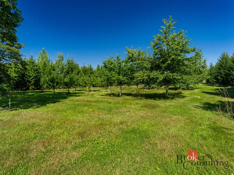 Prodej stavebního pozemku 12049 m², Varnsdorf – náhled fotky 1