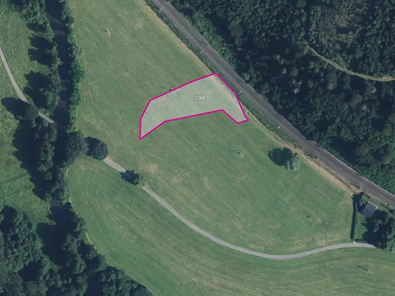 Prodej louky 3176 m², Hynčina – náhled fotky 1