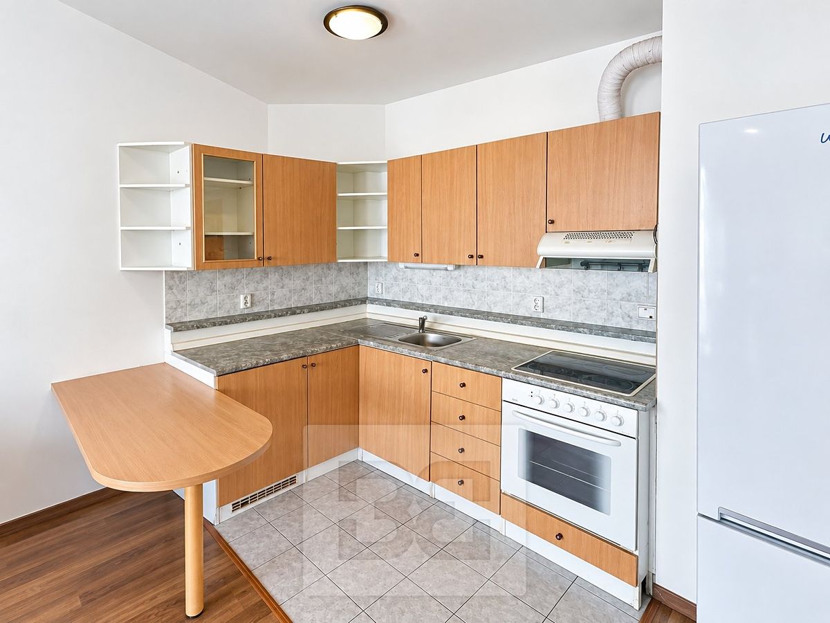 Pronájem bytu 1+kk 43 m² – fotografie 4