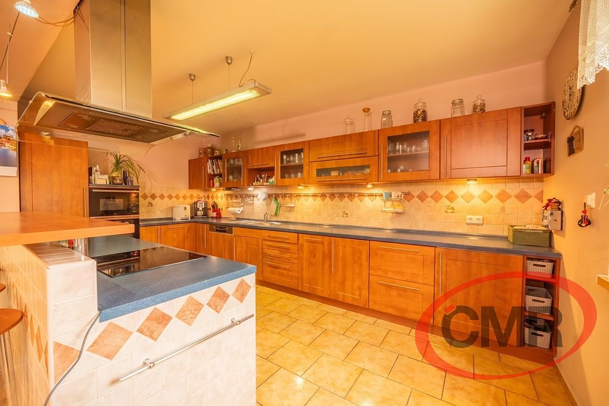 Prodej rodinného domu 350 m², pozemek 951 m² – fotografie 2