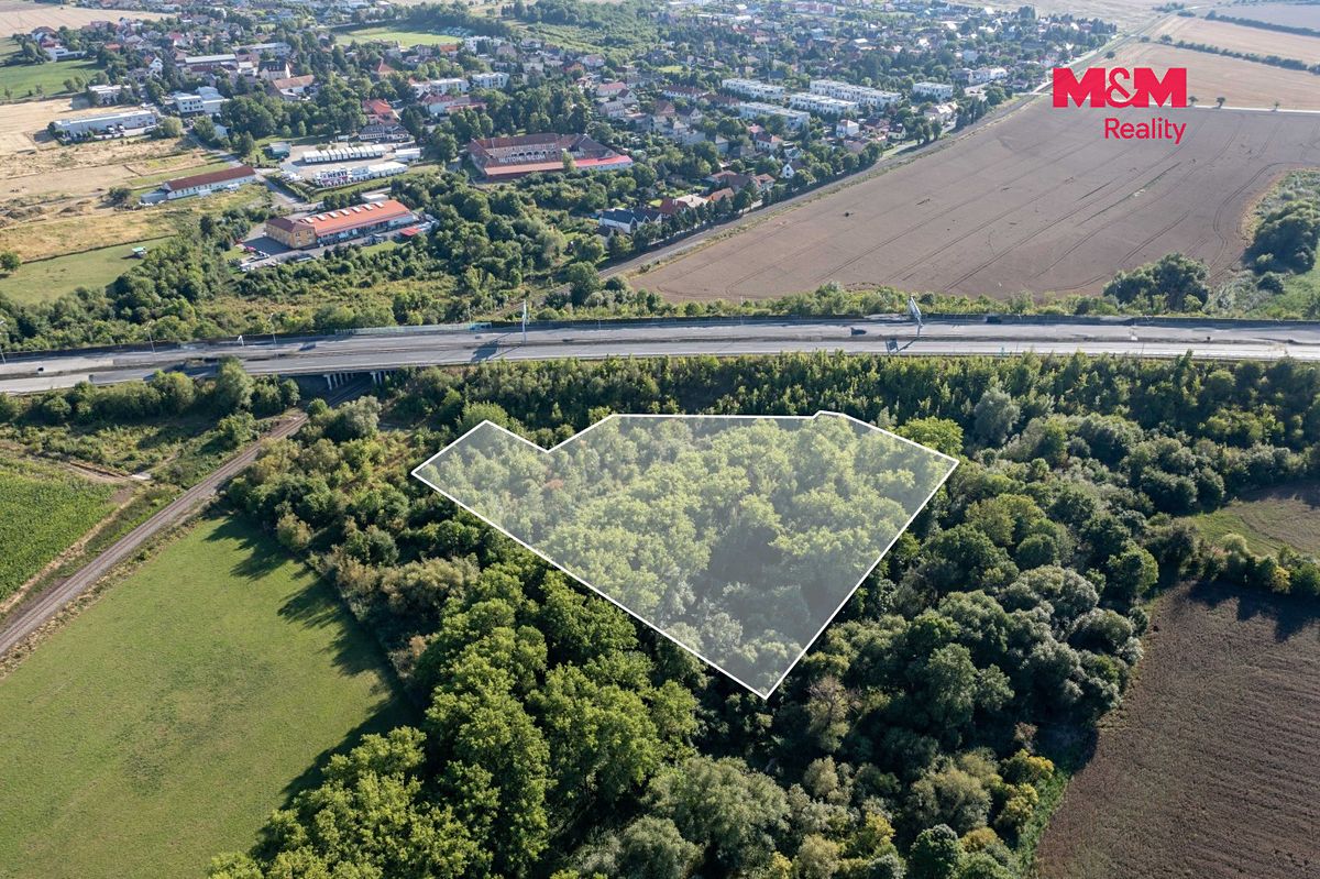 Prodej lesa 8894 m² – fotografie 3