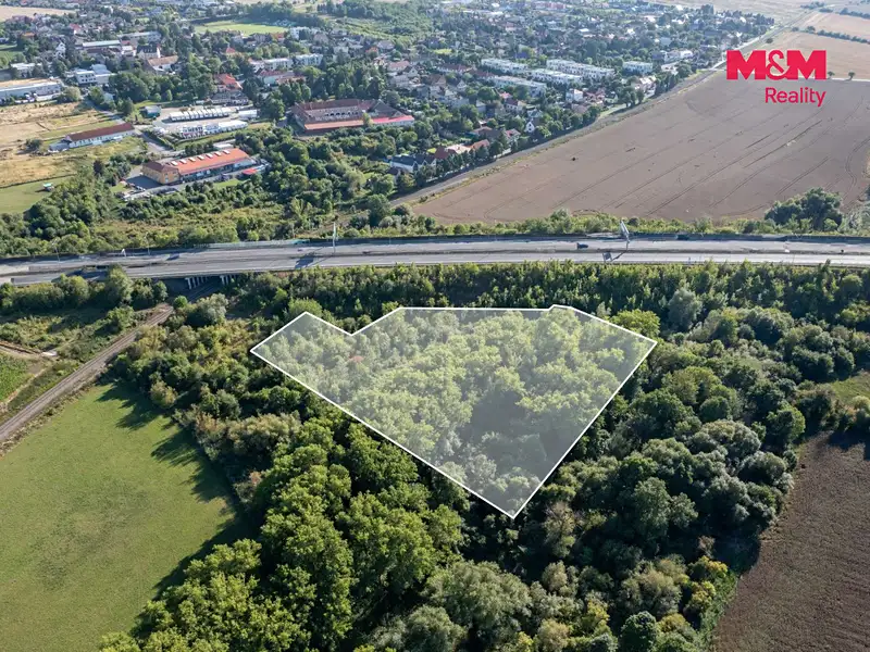 Prodej lesa 8894 m², Praha – náhled fotky 3