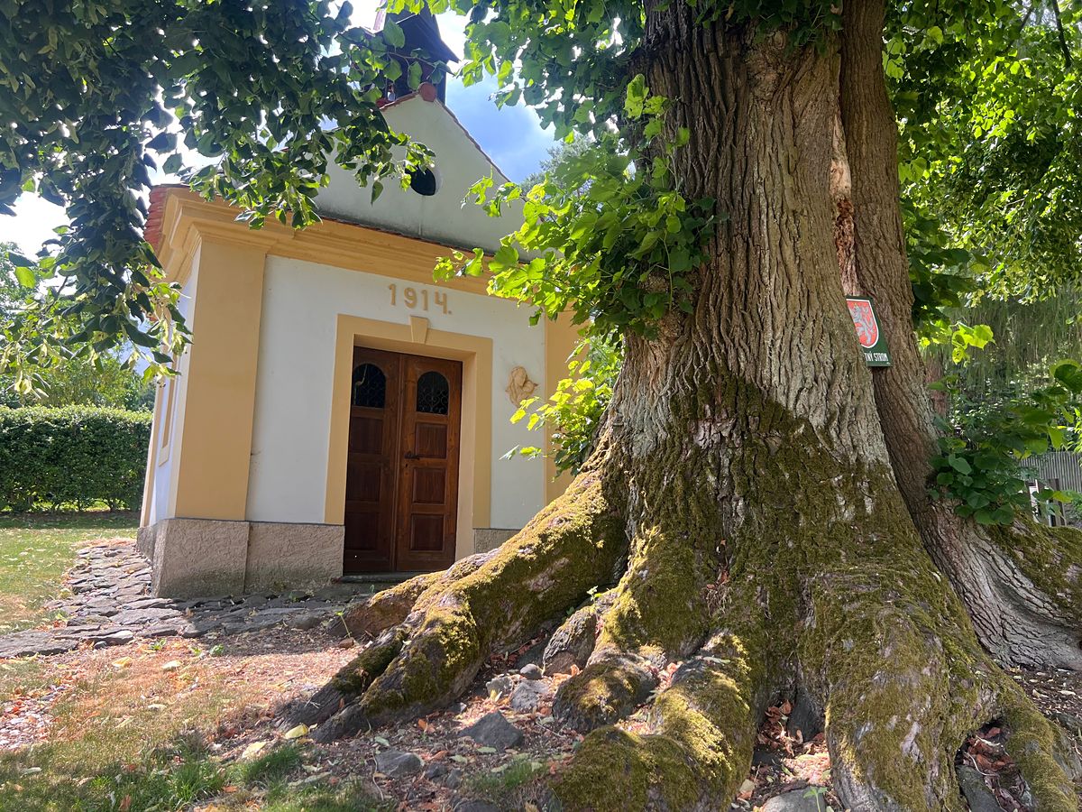 Pronájem rodinného domu 160 m², pozemek 350 m² – fotografie 5