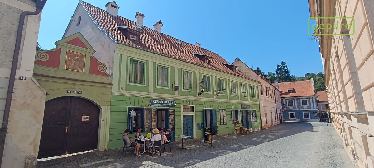 Prodej rodinného domu 524 m², pozemek 1017 m² – fotografie 2