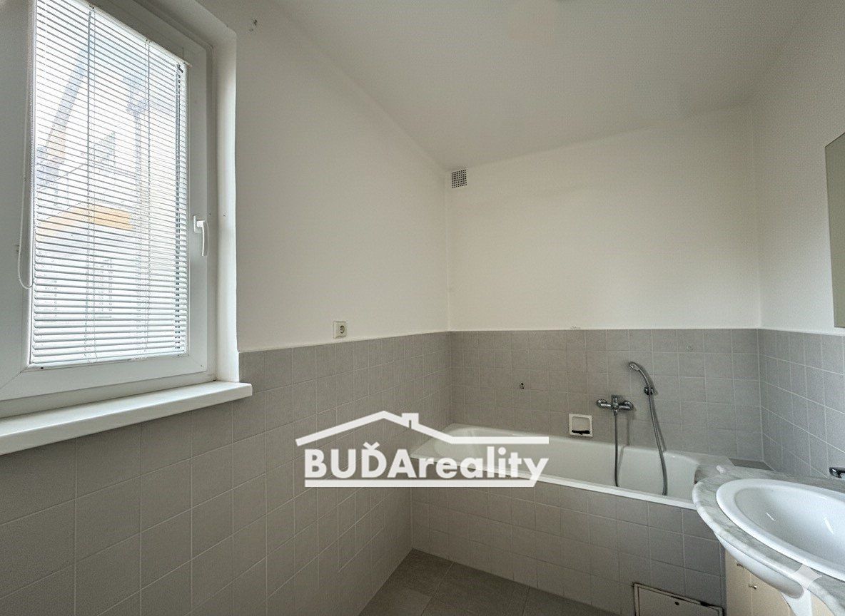Pronájem rodinného domu 160 m², pozemek 2400 m² – fotografie 4