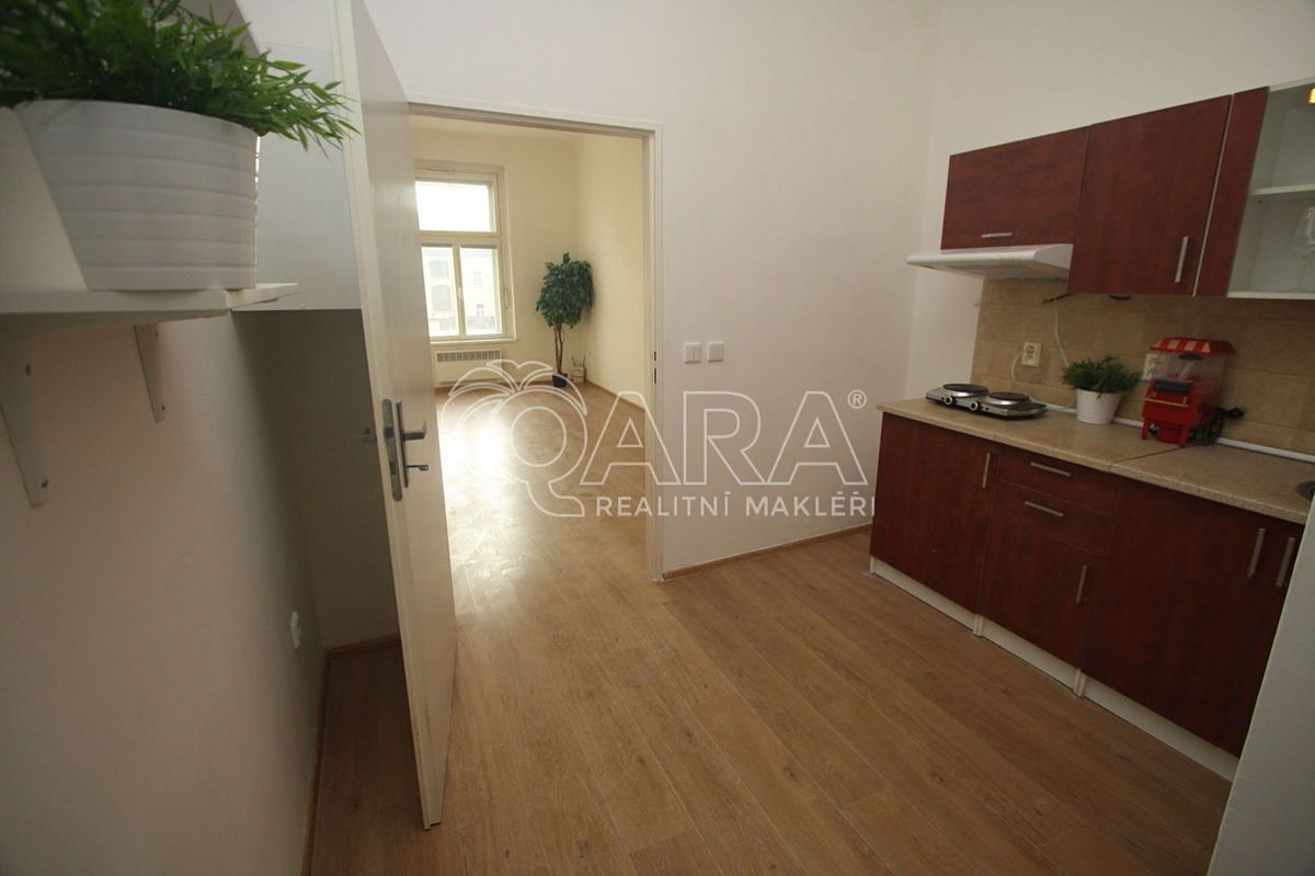 Pronájem bytu 1+kk 29 m² – fotografie 3