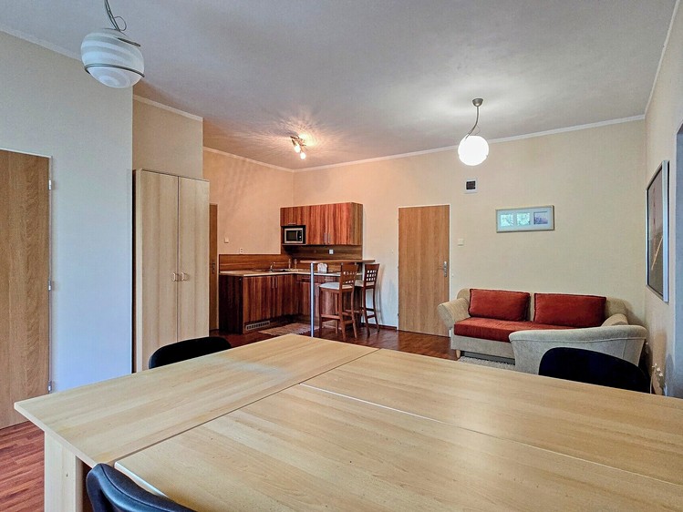 Pronájem komerčního prostoru, 156 m² (7 z 18)