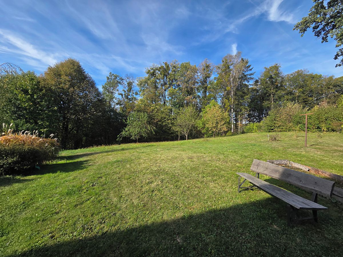 Prodej rodinného domu 260 m², pozemek 2599 m² – fotografie 3